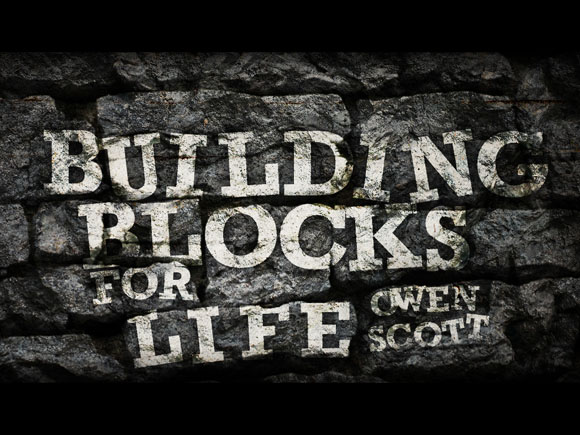 Building Blocks For Life