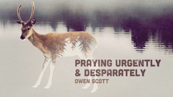 Praying Urgently and Desperately