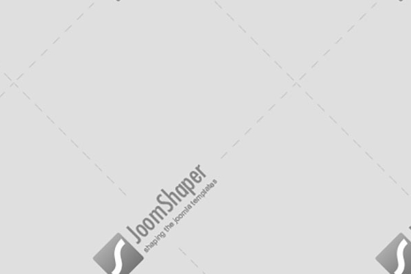 Optima Premium Template